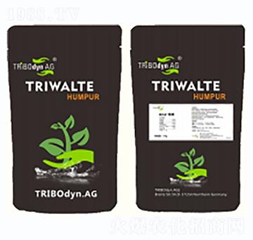 �����{�턩��ֲ�����L��-��̼-�D�͵�