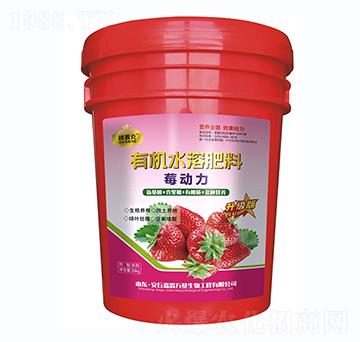 ݮ��(d��ng)���ЙC(j��)ˮ�ܷ���-�Wِ��-�����f��