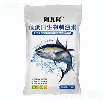 �~��������̼���-����¡-���r(n��ng)��