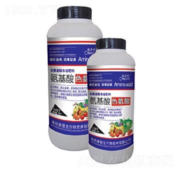 �����ᡤɫ����-������