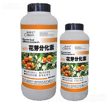 �ٻ���ѿ����-��ѿ�ֻ���-������