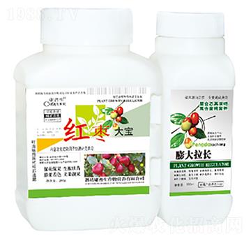 �t����-������