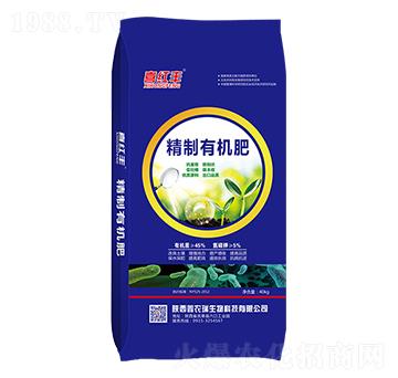 �����ЙC��-ϲ�t�S-���r��