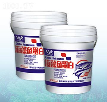 20kg�����~����-��