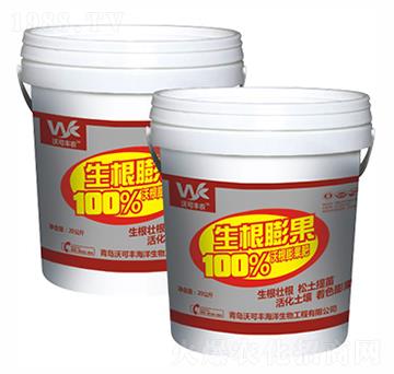 ���������-�ֿ��S