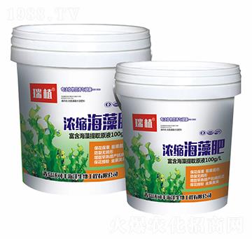 ��s�����-�ֿ��S