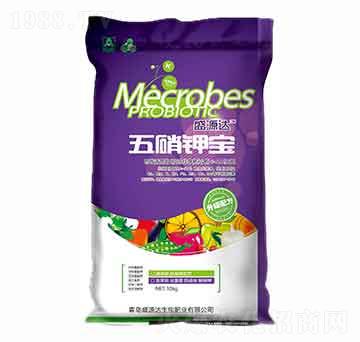 ����⛌�-��Դʢ�_(d��)