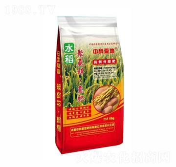 �пƐ�(��i)�ؾ۰��\������-�п�