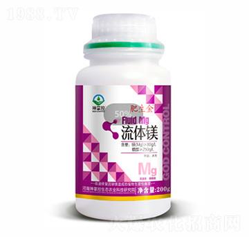 ���w�V-������-���ƿ�