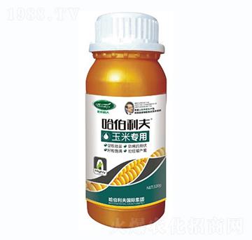 ���׌���-��������