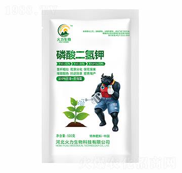 ����������������-����S����