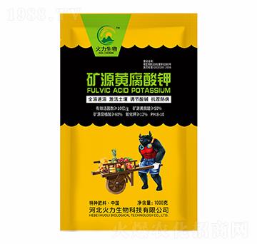 �VԴ�S�����-����S����