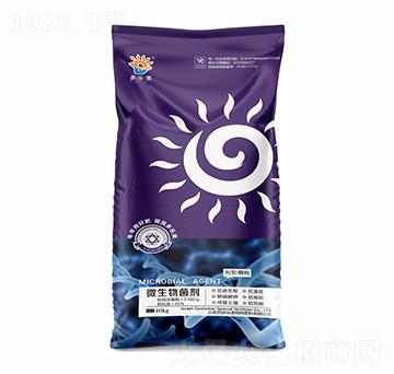 ΢�������-������