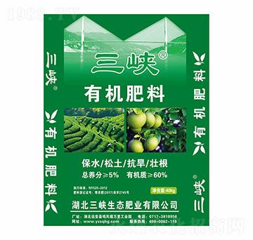 �ЙC(j��)����-���{���B(t��i)