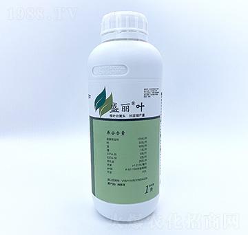 ʢ���~-��Ȼ��