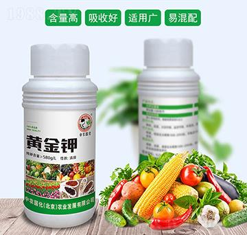 �S���-���r����