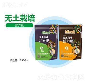 �o������I(y��ng)�B(y��ng)��-�S������