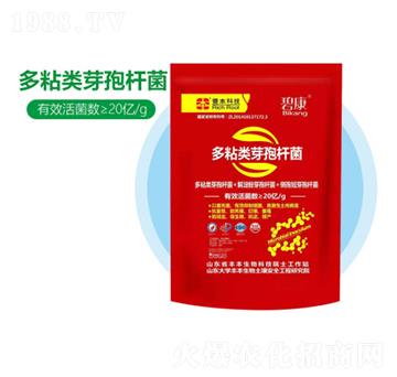 ��ճ�ѿ�ߗU��-�S������