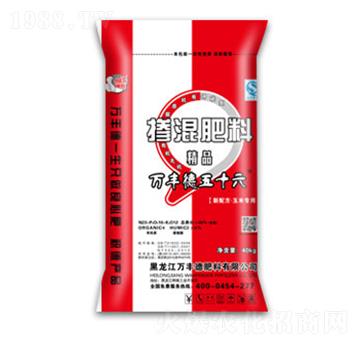 ���׌��Ó������23-10-12-�f(w��n)�S��