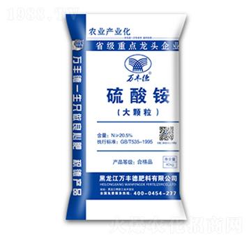 ���w�������@-�f�S��