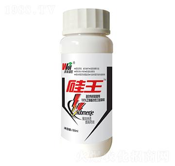 ����-���S���r(n��ng)-���S��