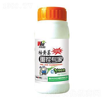 ���Sή�ز猣��-���S��