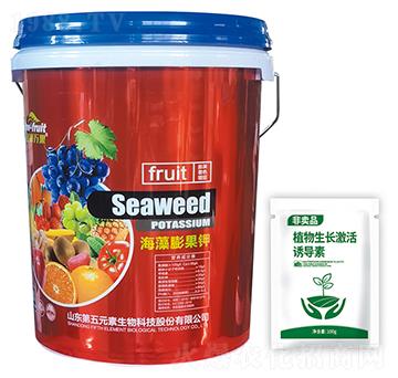 ��������-����Ԫ��