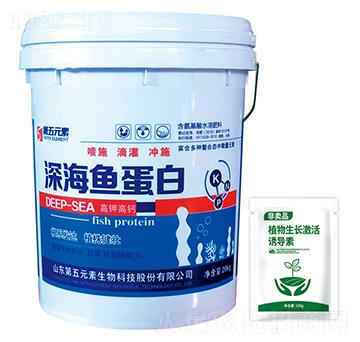 ��~����-����Ԫ��