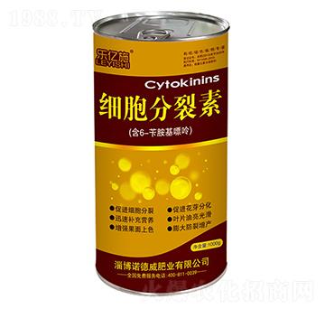 ����������-���|ʩ-�Z