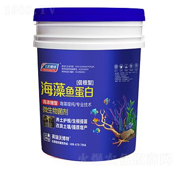 �����~���ף��ٸ��ͣ�-Ӣ���ֲ���