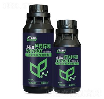 �������}�V�\��-Ӣ���ֲ���