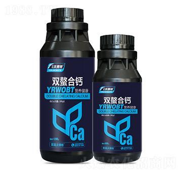 �p�����}-Ӣ���ֲ���