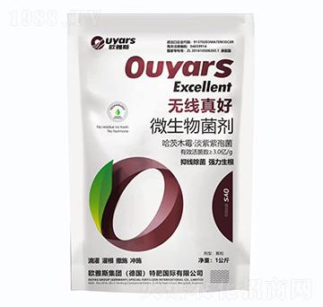 �o�����΢�������-�W��˹