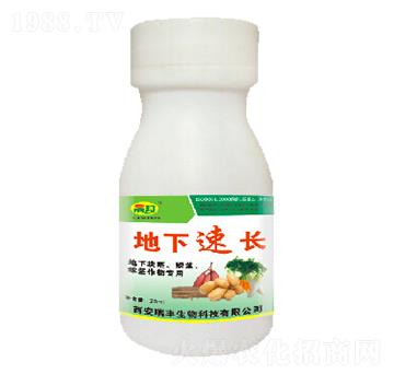 �������L(zh��ng)-�ɰ�����