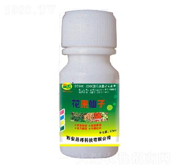 ��������-�ɰ�����