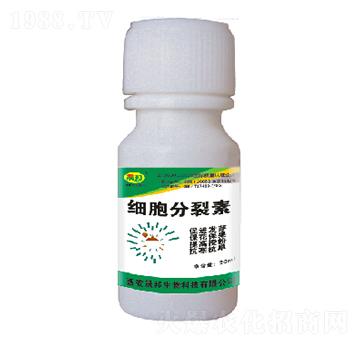 ��(x��)��������-�ɰ�����