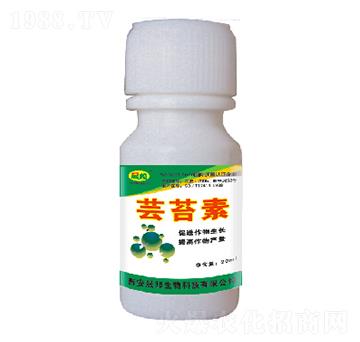 �|̦��-�ɰ�����