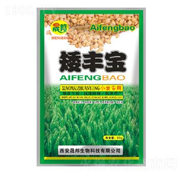 ���S��С������-�ɰ�����