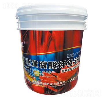 �VԴ�S������~����-�Z����