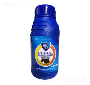 ʳ�þ�����-����120-���_(t��i)