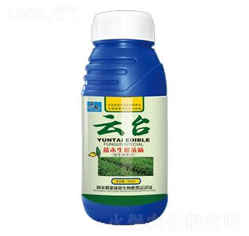 ��ľ��������΢�������-���_