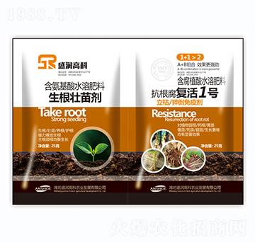 �������焩+��������(f��)��1̖-ʢ���߿�