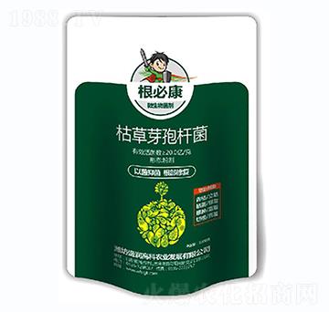 �ݲ�ѿ�ߗU��-���ؿ�-ʢ���߿�