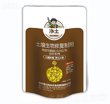 ���������ޏ��Ƅ�-����������-ʢ���߿�