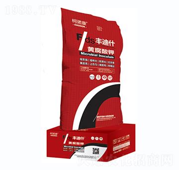 �S�����-�S��ʲ-���Z��-�|�Ҙ�(l��)