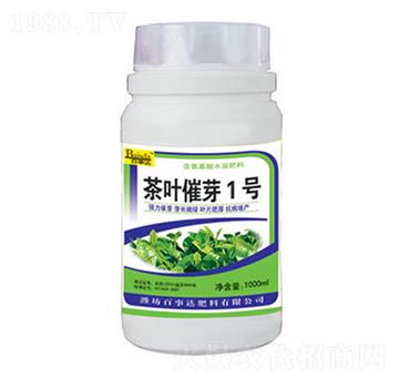 ���~��ѿ1̖-�����_