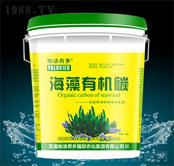 �����ЙC(j��)̼-�������-�̷���