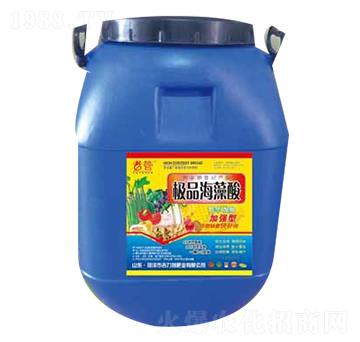 ������-�����طʘI(y��)