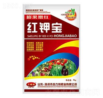 �t⛌�-�����طʘI(y��)