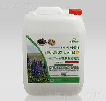 SM-037��ˎ����ľ����^���L(zh��ng)�����L(zh��ng)�����Ƅ�-�ΰ�������